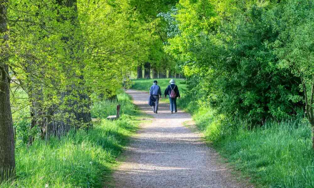 Jak dbać o zdrowie osób starszych?