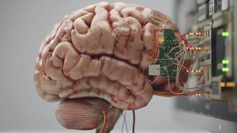 Jak mózg przetwarza emocje – sekrety Twoich uczuć pod mikroskopem