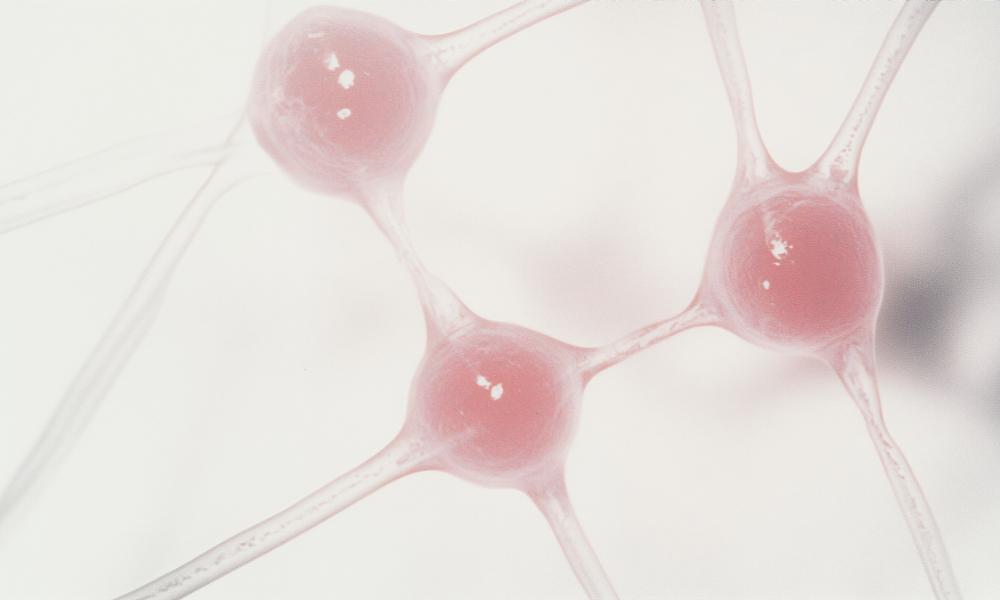 Odbudować umysł po udarze: kluczowa rola neuropsychologa w rehabilitacji