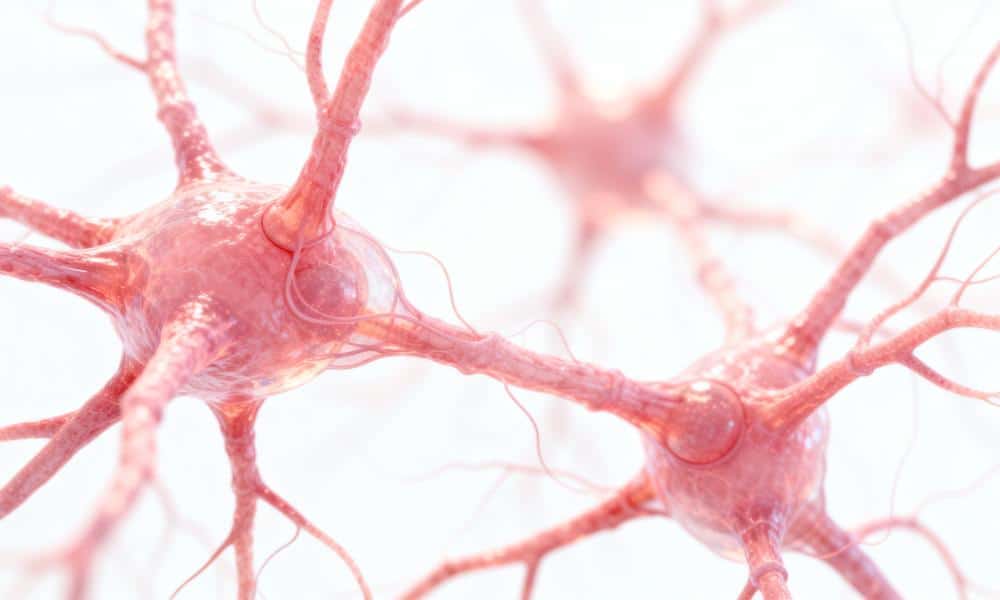 Tajemnice mózgu: jak neurony tworzą, przechowują i odzyskują twoje wspomnienia?